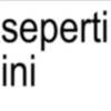 seperti ini