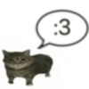Más gatos tonotos 20