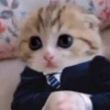 🤓 GATOOOZ !!¡¡😺🗯️ㅤㅤ 7