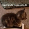 Nao 17
