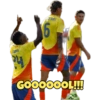 🇨🇴 Colombia Copa América ⚽ 12