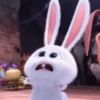 Snowball triste/preocupado 🐰 11