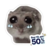 Hamster triste 24