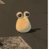 SAD POU 13