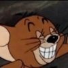 Tom & Jerry 8