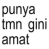 punya tmn gini amat