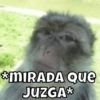 *MIRADA QUE JUZGA*