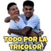 🇨🇴 Colombia Copa América ⚽ 14