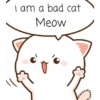 Angry cat 15