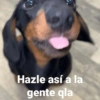 💥Shitpost 39💣 7
