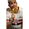 São Paulo reações Memes  15