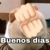❤️ Buenos días Amor 🥰Bza 5