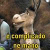 Shrek memes 😂 5