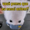 Reações de todo tipo 🤣 11