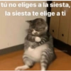 Animalitos Random🪴🐾 14