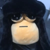 SAD POU 6