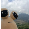 SAD POU 12