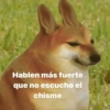 Animalitos Random🪴🐾 6