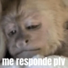 Meme e Shitpost 17