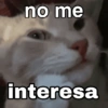 Gatos Reactions 💥🐱 13