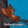 Meme Jerry Tikus 🐭 14