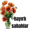 Günaydın 3 18