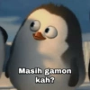 Meme Penguin (2) 14
