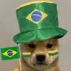 é o Brasil do Brasil 🇧🇷 28