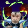 Dragon Ball No cats 6