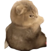 Kucing lucu 13