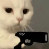 Kucing lucu 8
