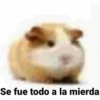 Shitpost Pa Tener Parte 1 7