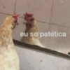 Humor de baixa qualidade 7