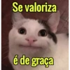 Se valoriza é de graça