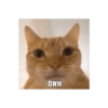 HMO