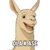 OLA K ASE
