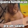 🐒 Macaco Direto e Sincero 28