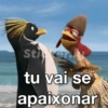 João frango 16