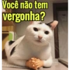 Você não tem vergonha?