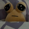 SAD POU 14