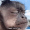 Meme e Shitpost 12