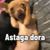 Meme cringe horor😭 17