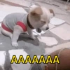 Memes variados  7