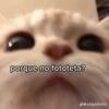 porque no fototeta? @saigadinho