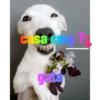 Cria rj 14