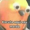 Meme e Shitpost 21