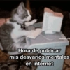 Animalitos Random🪴🐾 10