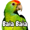 Lol 18