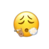 Emojis 1 12