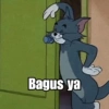 Tom & Jerry 9